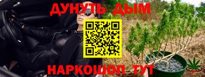 прущие грибы Лесосибирск