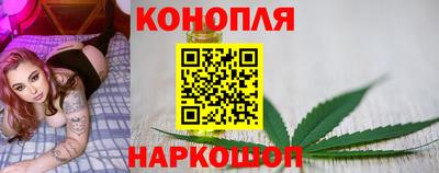 прущие грибы Лесосибирск