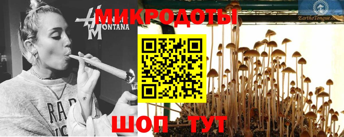 Галлюциногенные грибы MAGIC MUSHROOMS  Псилоцибиновые грибы Magic Shrooms  Горячий Ключ  Вход с VPN 